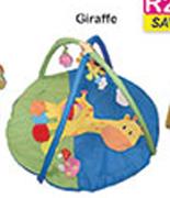 Playgyms Giraffe Assorted 