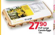PnP Large Canola Eggs-18's