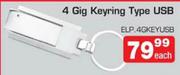 4 Gig Keyring Type USB ELP.4GKEYUSB