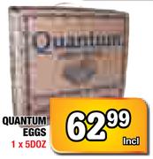 Quantum Eggs-1x5DOZ