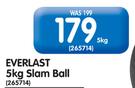 Everlast 5Kg Slam Ball