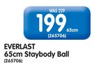 Everlast 65cm Staybody Ball