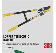 Lopper Telescopic Ratchet