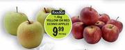 Foodco Yellow or Red Econo Apples-1.5kg-Per Pack