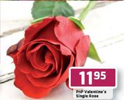 PnP Valentine's Single Rose
