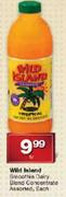Wild Island Smoothie Dairy Blend Concentrate Assorted Each-1ltr
