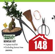 Down Earth Bonsai Kit