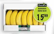 Foodco Banana Mini Box