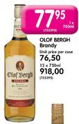 Olof Bergh Brandy-12x750ml