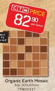 Organic Earth Mosaic 300x300mm(CFM000117)-Per Sheet