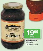 Wellington's Hot/Mild Chutney-920g Each