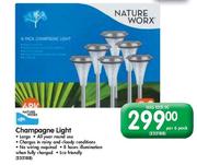 Champagne Light-per 6 Pack