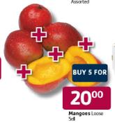 Mangoes Loose-5's