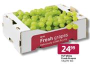PnP White Fresh Grapes-1.5kg Per Box