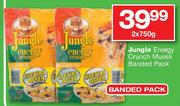 Jungle Energy Crunch Muesli Branded Pack-2 x 750g