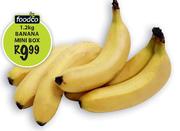 Foodco Banana Mini Box-1.2Kg
