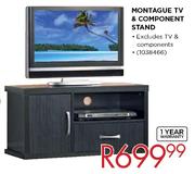 Montague TV & Component Stand