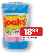 Soaky Sponge-5's