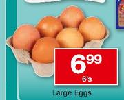 Large Eggs-6's