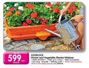 Hozelock Flower And Vegetable Planter/Waterer-Each