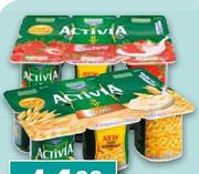 Danone Activa Jogurt-6x100g Per Pack