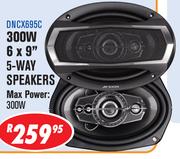 Dixon 300W 6x9" 5 Way Speakers(DNCX695C)