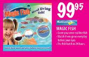Homemark Magic Fish