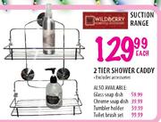 Wildberry Suction Toilet Brush Set