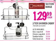 Wildberry Suction Chrome Soap Dish