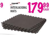 Trojan Interlocking Mats Each