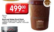 Nature's Coat Roof And Water Proof Paint-20ltr