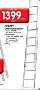 Gravity Extension Ladder-DMS600 Each