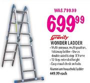 Gravity Wonder Ladder
