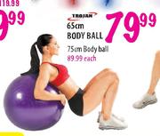 Trojan Body Ball - 75cm Each
