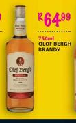 OLOF Bergh Brandy-750Ml