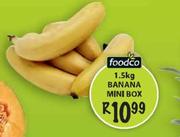 Foodco Banana Mini Box-1.5Kg