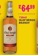 OLOF Bergh Brandy-750Ml