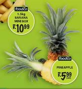 Foodco Pineapple