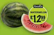 Foodco Watermelon Each