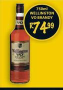 Wellington Vo Brandy-750ml