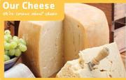 Forgio Grated Parmesan-40g