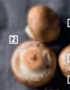 PnP Portabellini Mushrooms-250g Per Pack
