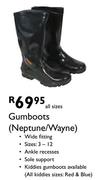 Gumboots (Neptune/Wayne)