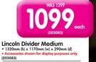 Lincoln Divider Medium-Each