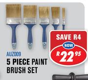 5 Piece Paint Brush Set