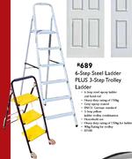 6-Step Steel Ladder Plus 3-Step Trolley Ladder