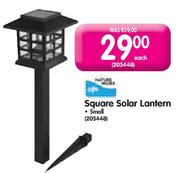 Square Solar Lantern-Each