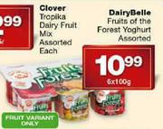 DairyBelle Fruits Of The Forest Yoghurt Assorted-6x100g Each