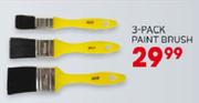 Paint Brush-3 Pack
