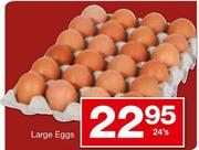 Large Eggs-24's